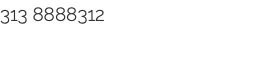 313 8888312